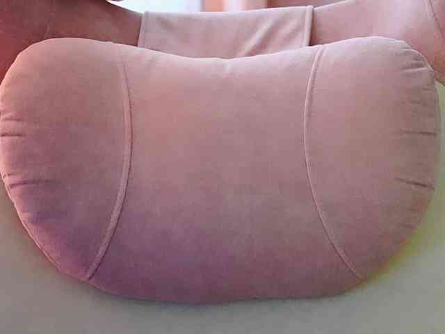 -ANN webcam