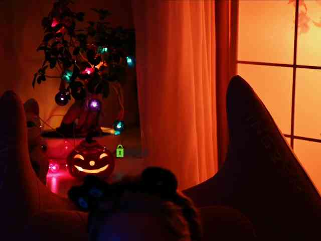 -ANN webcam