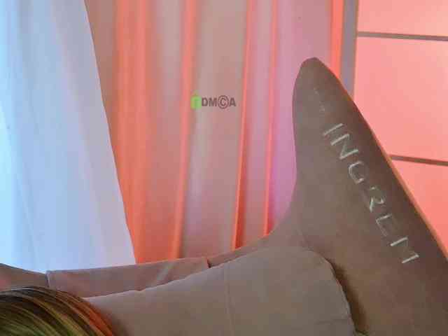 -ANN webcam