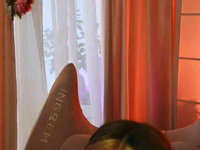 -ANN webcam