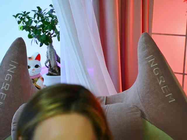 -ANN webcam