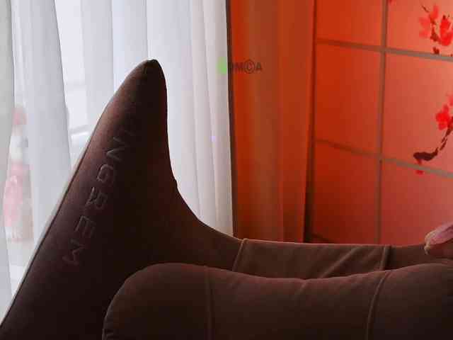 -ANN webcam