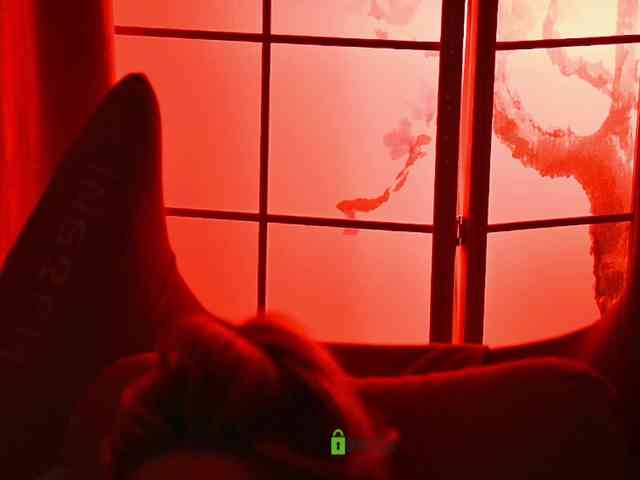 -ANN webcam
