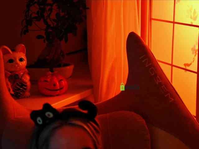 -ANN webcam