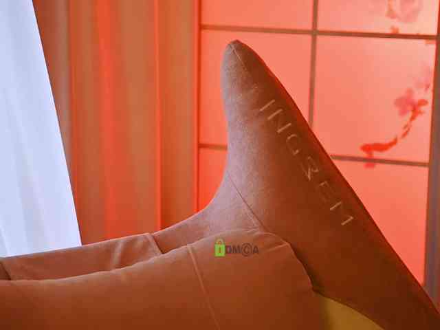 -ANN webcam