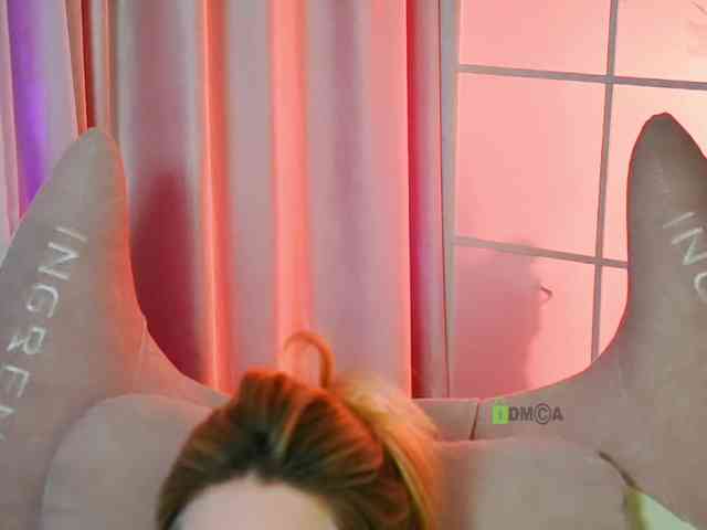 -ANN webcam