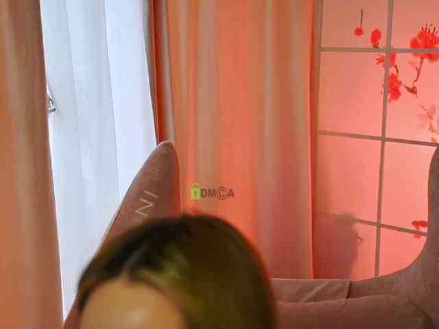 -ANN webcam