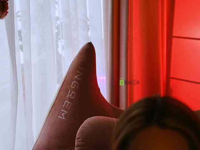 -ANN webcam