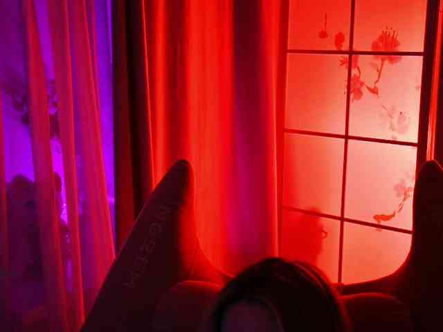 -ANN webcam