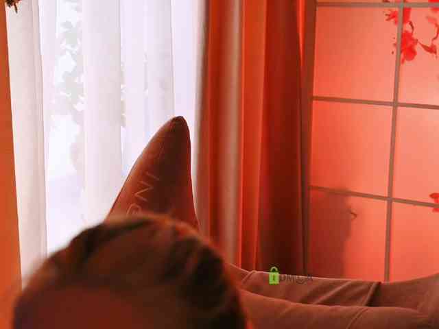 -ANN webcam