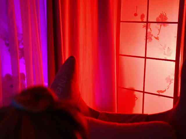-ANN webcam