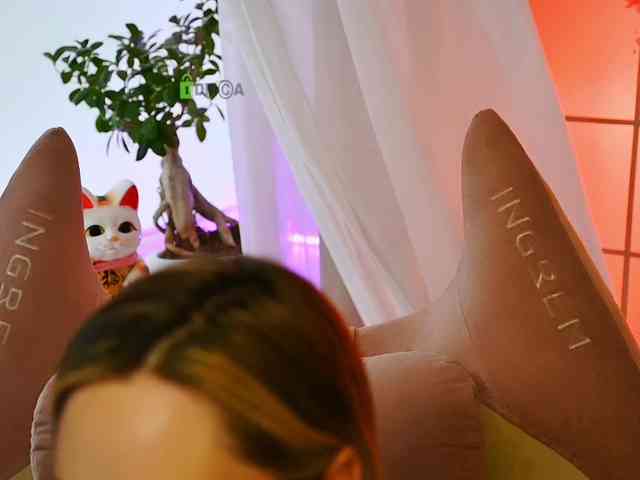 -ANN webcam