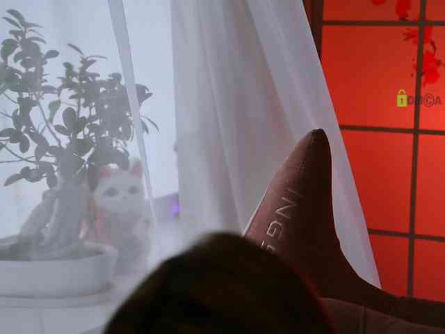 -ANN webcam