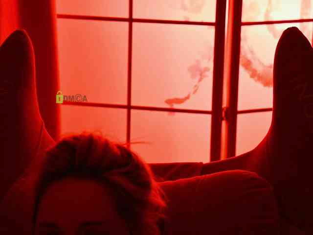 -ANN webcam