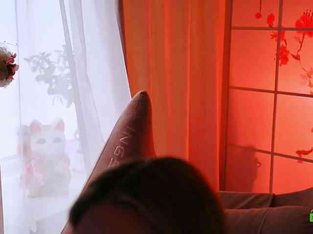 -ANN webcam