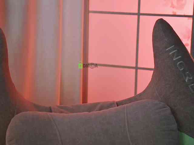 -ANN webcam