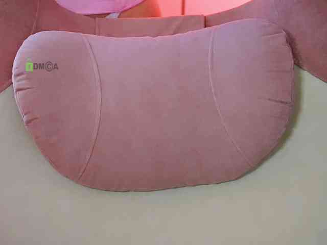 -ANN webcam