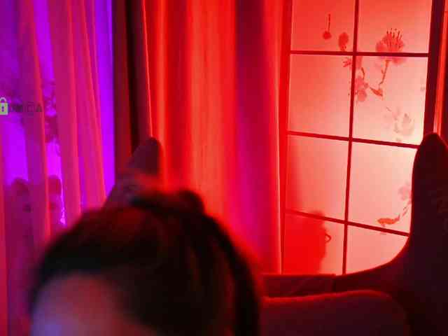 -ANN webcam
