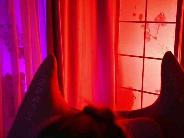 -ANN webcam