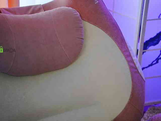 -ANN webcam