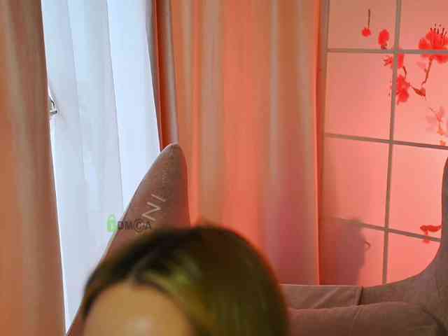 -ANN webcam