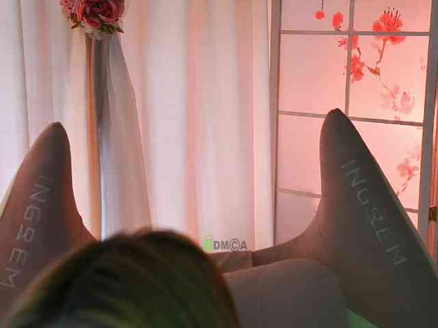 -ANN webcam