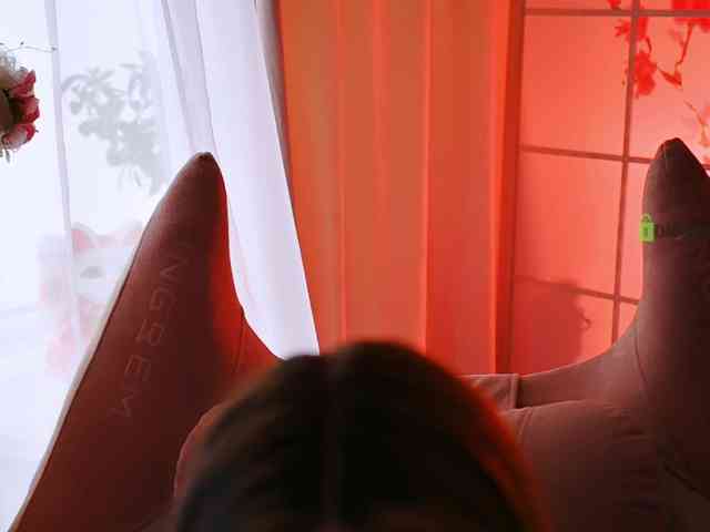 -ANN webcam