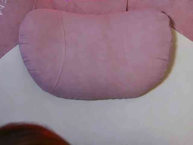 -ANN webcam