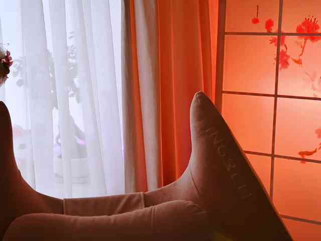 -ANN webcam
