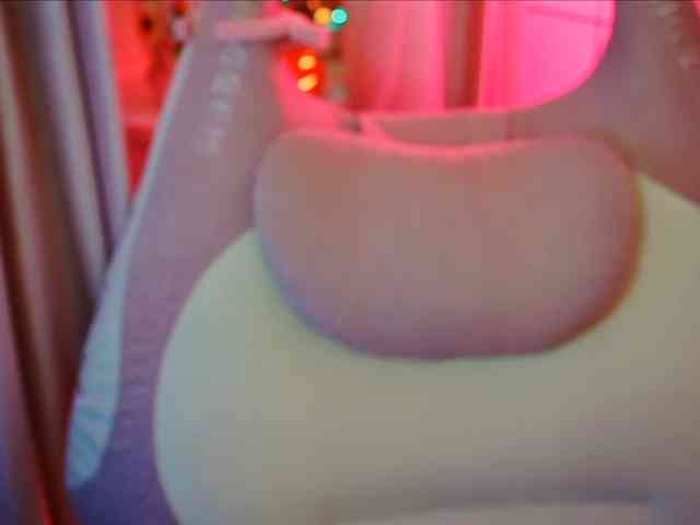 -ANN webcam
