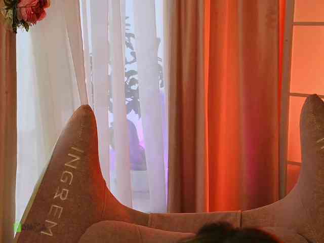 -ANN webcam