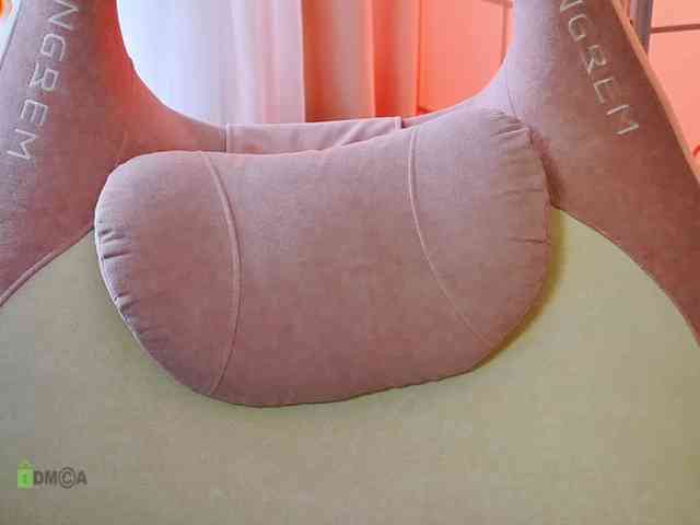 -ANN webcam