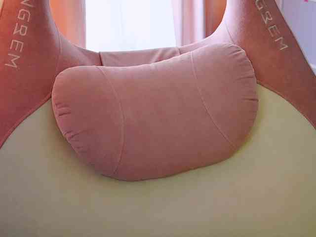 -ANN webcam