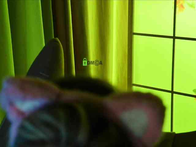 -ANN webcam