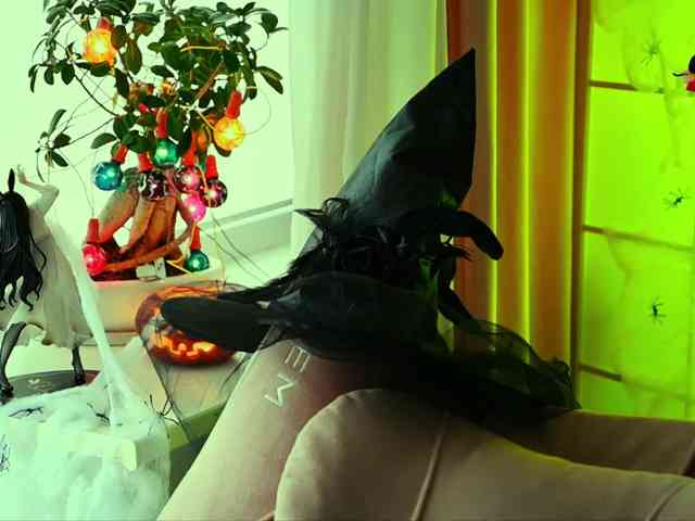 -ANN webcam