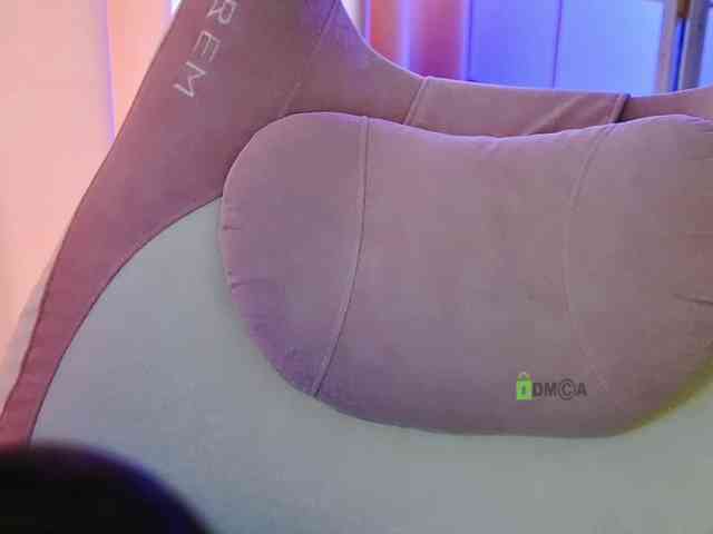 -ANN webcam