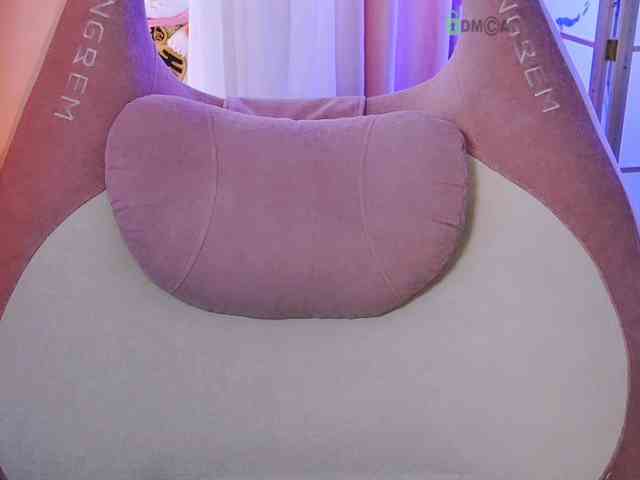 -ANN webcam