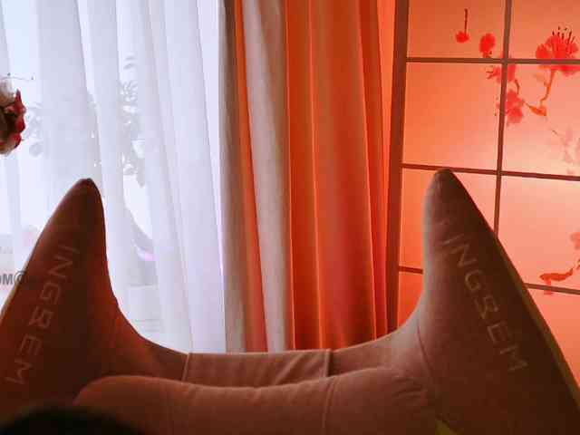 -ANN webcam