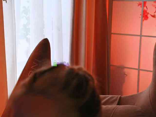 -ANN webcam