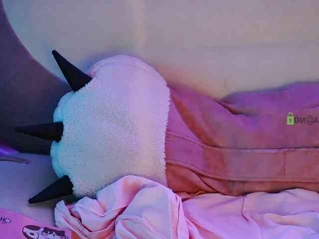 -ANN webcam