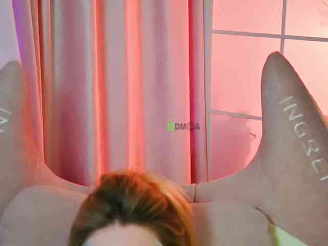 -ANN webcam