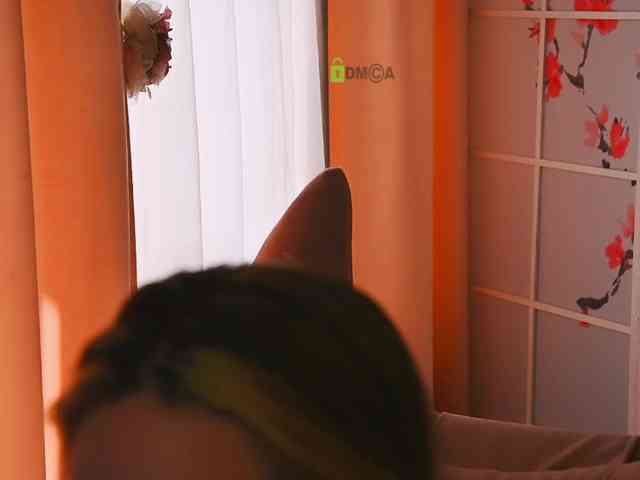-ANN webcam