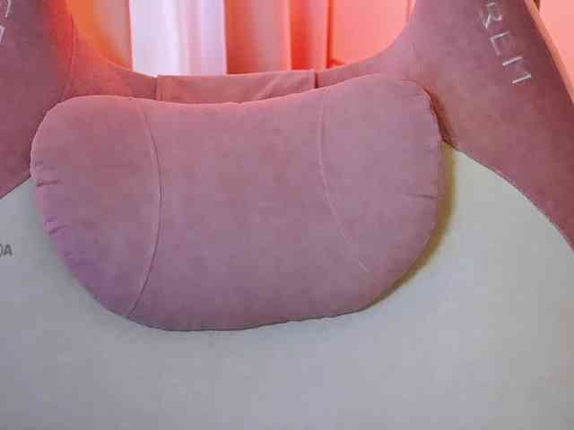 -ANN webcam