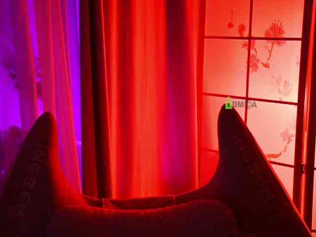 -ANN webcam