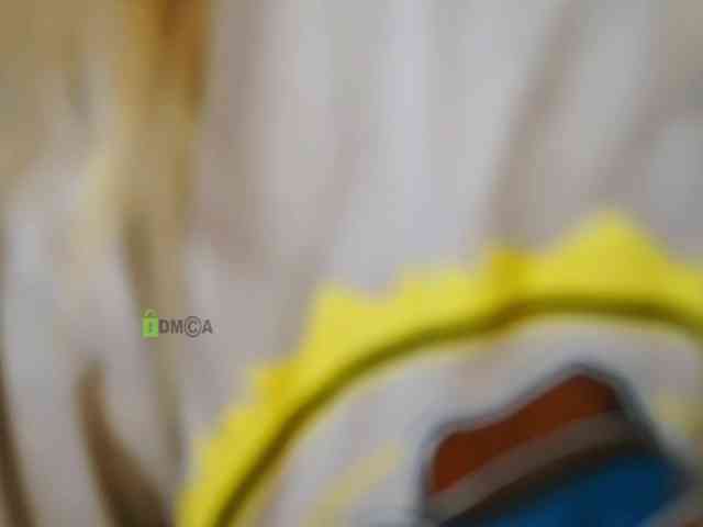 -ANN webcam