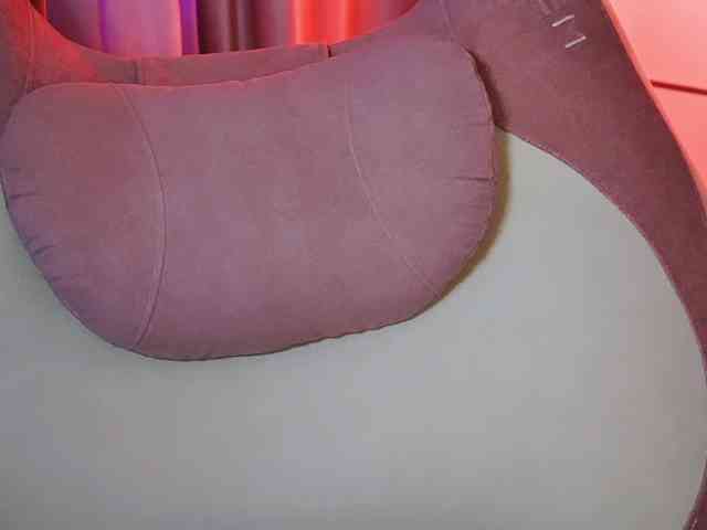 -ANN webcam
