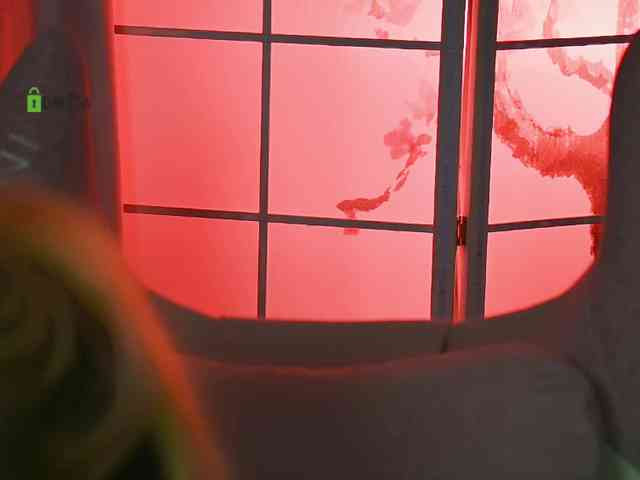 -ANN webcam
