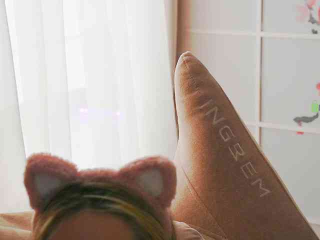 -ANN webcam