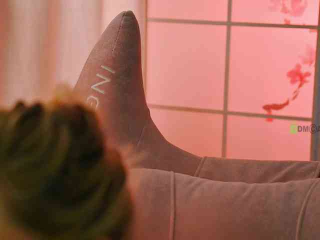 -ANN webcam