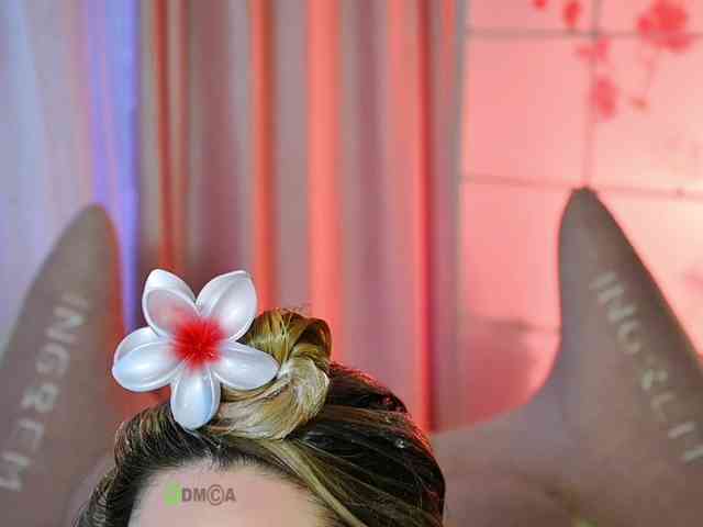 -ANN webcam